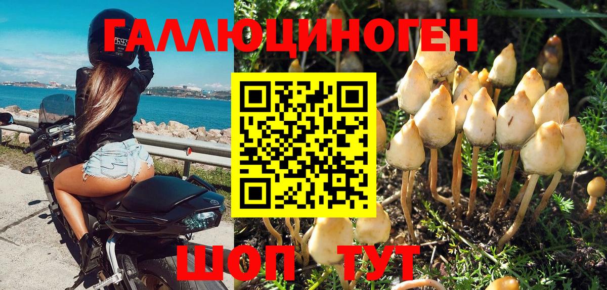 Псилоцибиновые грибы мицелий Йошкар-Ола